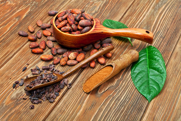 Cocoa beans in spoon with green leaves, cacao powder and cocoa nibs in scoops on wooden background.