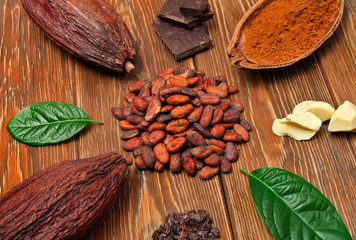Cocoa pods with green leaves, chopped chocolate bar, cocoa butter, cacao powder, heaps of cocoa beans and cocoa nibs on wooden background. Top view.