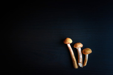 Edible forest mushrooms on dark wooden table, top view, close up. Few fresh cut mushrooms on black background with copy space.