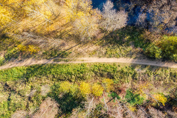 Obraz na płótnie Canvas aerial view of the dirt road in autumn forest. fall landscape at sunny day