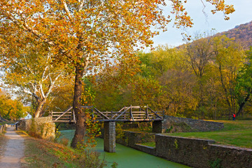 Harpers Ferry historic town and park in autumn with a view on Blue Ridge Mountains. Park trail and bridge with a tall colorful deciduous tree.