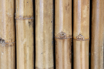 Dry bamboo trunk as a background