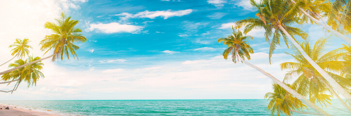 Obraz premium Panorama summer on the beach in Thailand.blue sky and white clouds. Freshness of the new day. Bright blue background. Relaxing feeling like being in the sky.Coconut trees on the beach.