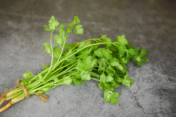 Fresh coriander leaf bunch for food vegetables spices herbs / Green coriander leaves on dark