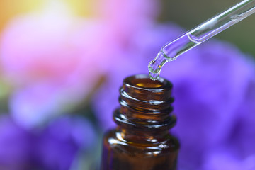 Aromatherapy herbal oil bottles aroma dropper on glass with flower on nature green background - Essential oils natural for face and body beauty remedies on wooden table and organic minimalis