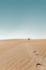 Person walks around around on a Sand Dune Desert