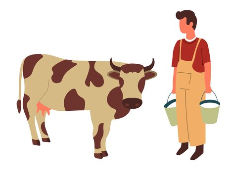 Farmer and cow farming and livestock animal or cattle milk buckets