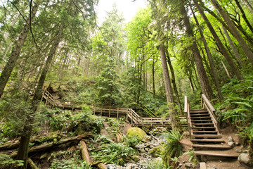 Obraz premium Quarry rock in Deep Cove, North Vancouver, BC