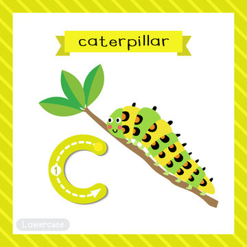 Letter C lowercase tracing. Caterpillar crawling on the branch