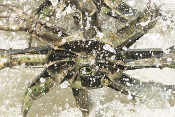 Close-up propeller of solar water hydraulic turbine for surface water treatment with water bubbles.