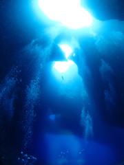 Fototapeta na wymiar パラオの海　ブルーホール　水中洞窟