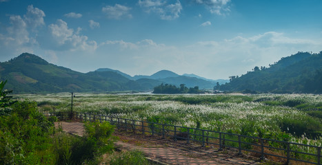 Naklejka premium Views of grassland and mountains in the Mekong River