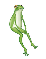 grenouille, verte, amphibien, animal, isolé, blanc, rainette,  saut, nature, faune, grenouille, crapaud, macro, gros plan, joli, yeux, jouet, petit, dessin animé, illustration, attitude, dense 