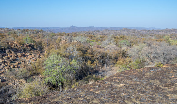 Typical habitat conditions in the lanner gorge area in the northern Kruger National Park in South Africa image in horizontal format