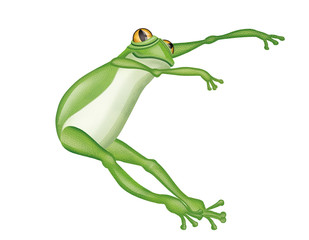 grenouille, verte, amphibien, animal, isolé, blanc, rainette,  saut, nature, faune, grenouille, crapaud, macro, gros plan, joli, yeux, jouet, petit, dessin animé, illustration, attitude, dense 