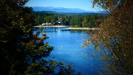 lake in the forest on cold autumn afternoon