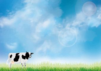 牛：牛　牧草　北海道　酪農　農業　放牧　草　水彩　青空　放牧 © okaka08