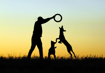 Silhouettes Man and dogs playing against the sunset sky, Belgian Shepherd Malinois, dogs jumping for a toy.