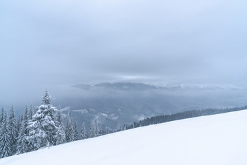 Winter mountains landscape of Carpathians hill and christmas tree snow covered