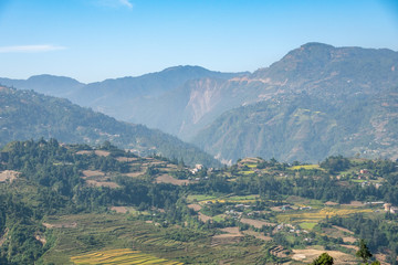 Farming in the Himalayan Foothills