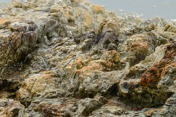 close-up texture of the rock. Use for background