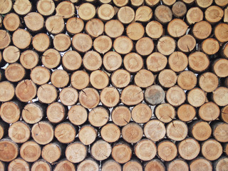 timber pattern