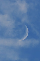 moon on the blue sky. the clouds