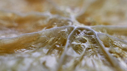 Dry lime and orange
