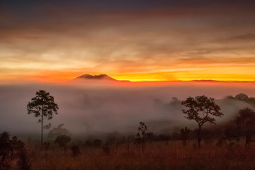 Fototapeta na wymiar Mountain view morning of peak mountain on meadow grass field around with the ocean of mist with red sun light in cloudy sky background, sunrise at Thung Salang Luang, Khao Kho, Phetchabun, Thailand.