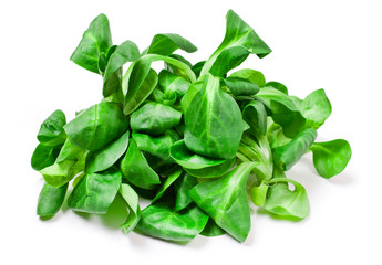 Fresh juicy green corn salad isolated on white background