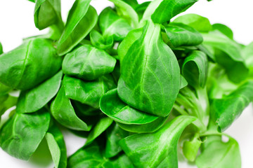 Fresh juicy green corn salad on white background