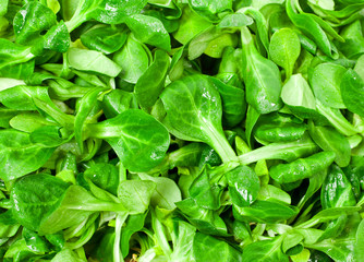Fresh green juicy corn salad. Background. Top view.