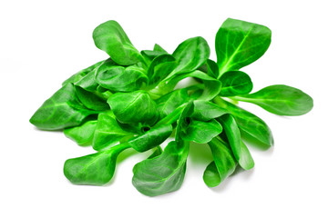 Fresh juicy green corn salad isolated on white background