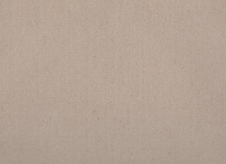 Fototapeta na wymiar Brown carton or craft paper closeup texture. Cold tone beige cardboard horizontal photo. Textured crafted paper mockup
