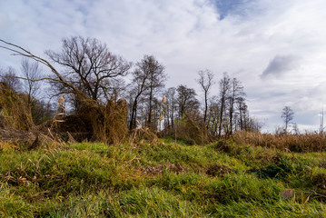 Narwiański Park Narodowy, Topilec, Podlasie, Polska © podlaski49