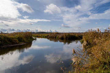 Narwiański Park Narodowy, Topilec, Podlasie, Polska © podlaski49