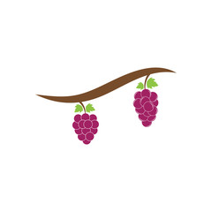 Grapes logo template vector icon illustration