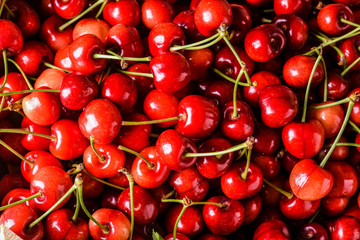 Ripe cherries background. Pile of cherry top view.