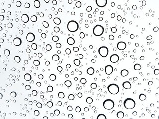 Abstract of water droplets on the glass with white background.