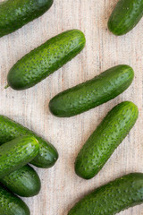 Ripe organic mini baby cucumbers on cloth, top view. Flat lay, overhead, from above.