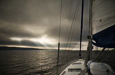 Landscape from the boat