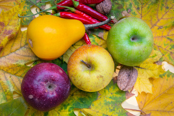 Autumn still life from above, wallnuts, dried red peppers and colorful apples on yellow leaves background, fall beauty flat lay