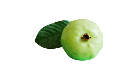 Guava fruit on isolated white background