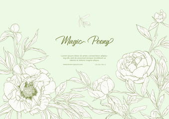 White Peony. Template for wedding invitation, greeting card, banner, gift voucher, label. Outline hand drawing vector illustration. On tea green background..
