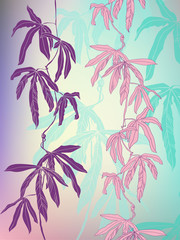 Tropical leaves on the colorful background.