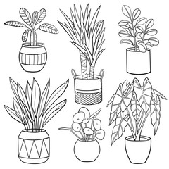  Set of different hand drawn houseplants in planters. Vector outline illustration drawings on a white background