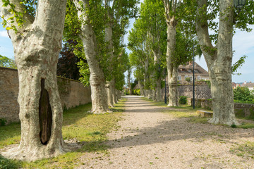 france burgundy beaune