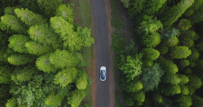 Aerial view of a white electric vehicle driving on a country road surrounded by a green pine tree forest, car driving in nature, green sustainable transportation future concept