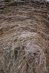 natural texture of straw, twisted into a roll