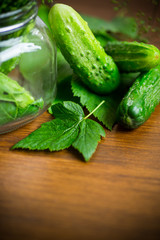 cucumbers and spices with herbs for canning in a jar